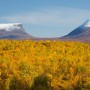 Schwedisch Lappland im Herbst